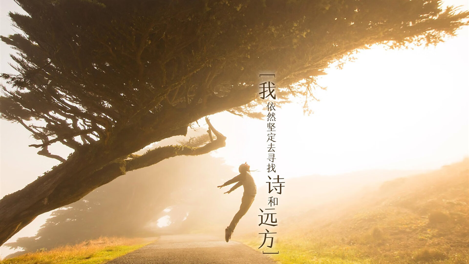 节奏感不足的球队是否容易陷入强行单打，节奏很差怎么办