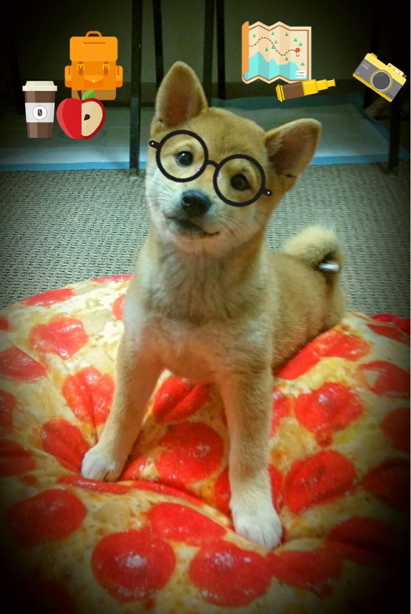 “费尔南多·比亚尔巴的球场全能表现，阿根廷美洲狮队的未来支柱”