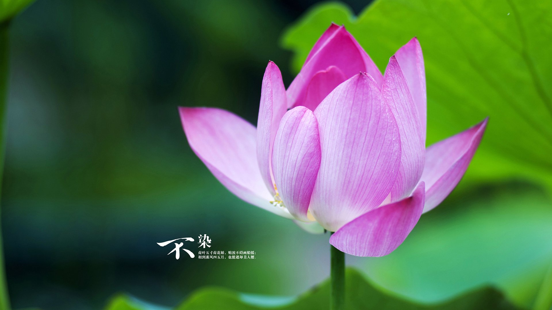 世界篮球联赛预选赛中，欧洲强队携手迎战，力争奥运入场券，2021篮球世界杯欧洲预选赛