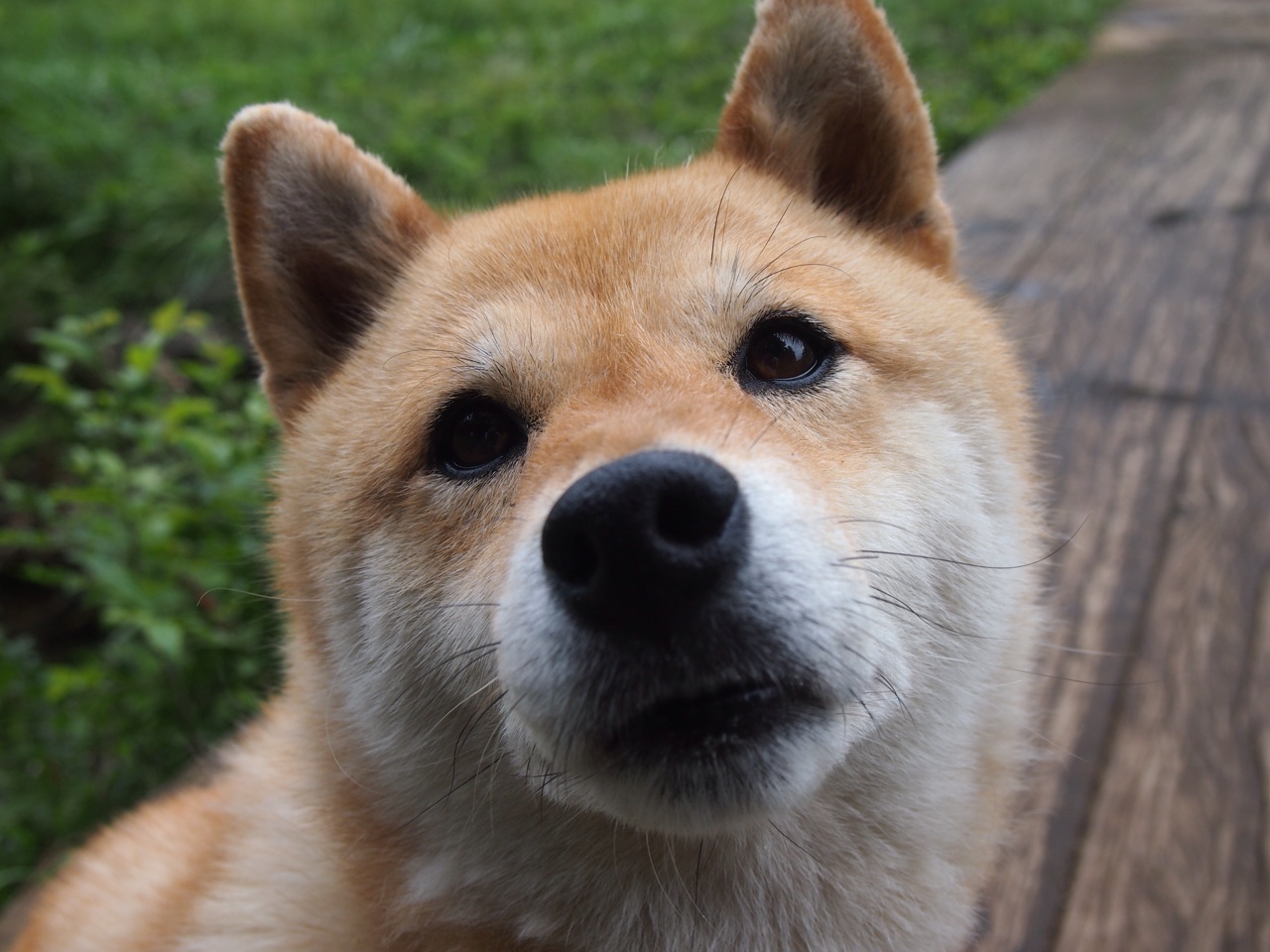 主场气氛热烈观众打出创意标语为球队送上全场支持，球队主题