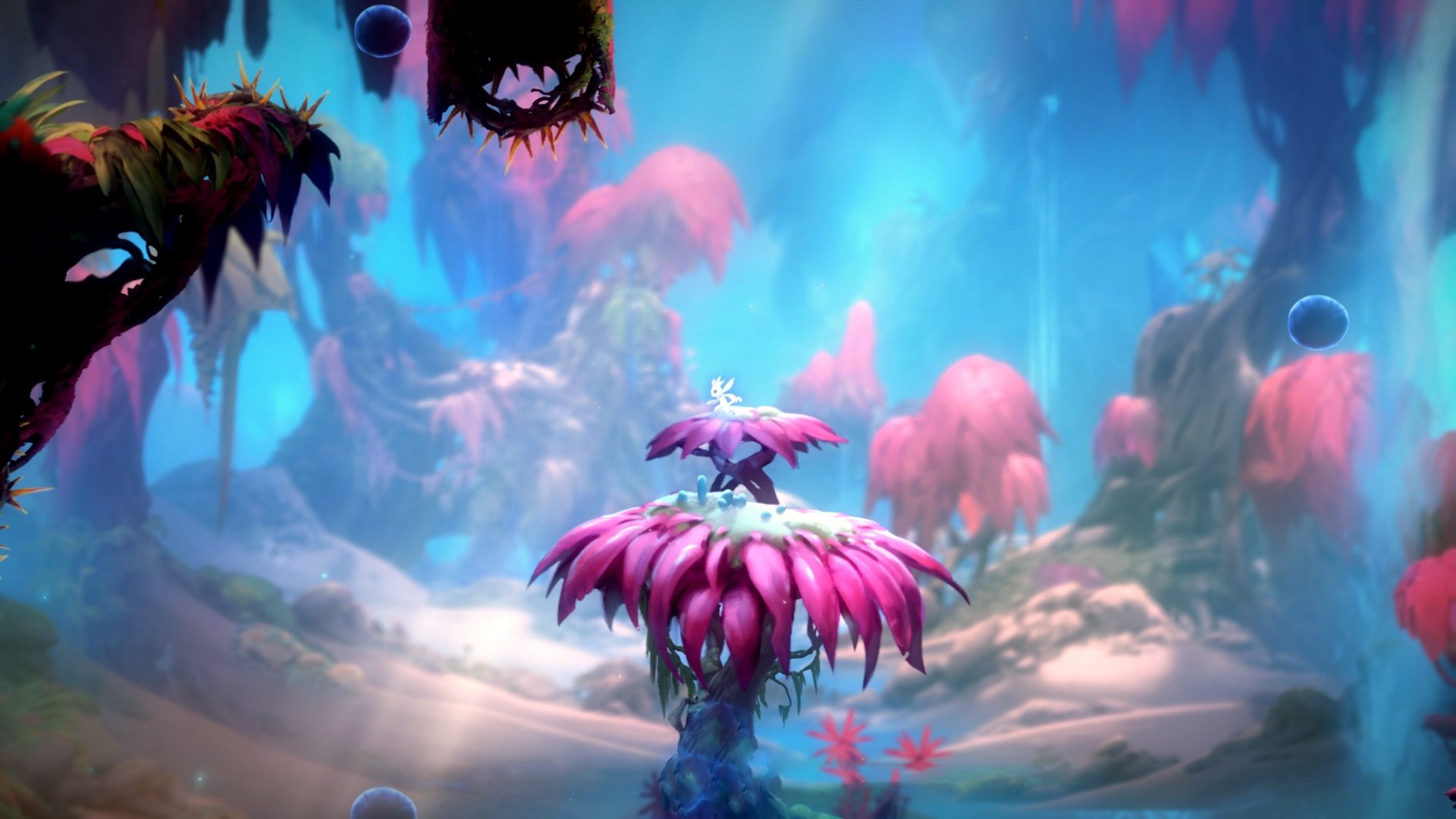 佩拉卡尼笑对首次蝶泳挑战，卡佩拉弹跳