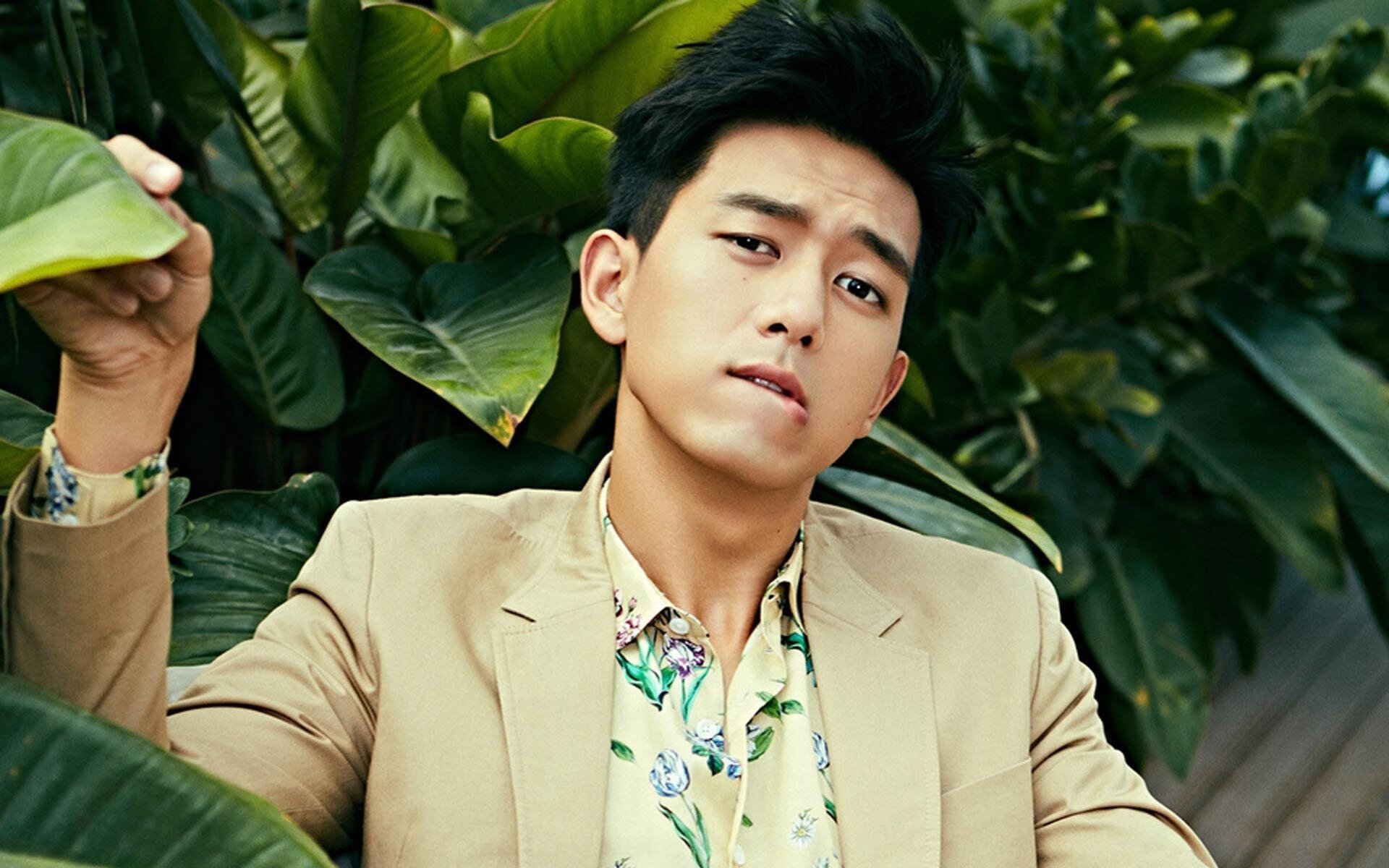 南非橄榄球赛事的商业化操作促进国际影响力扩张，南非橄榄球冠军