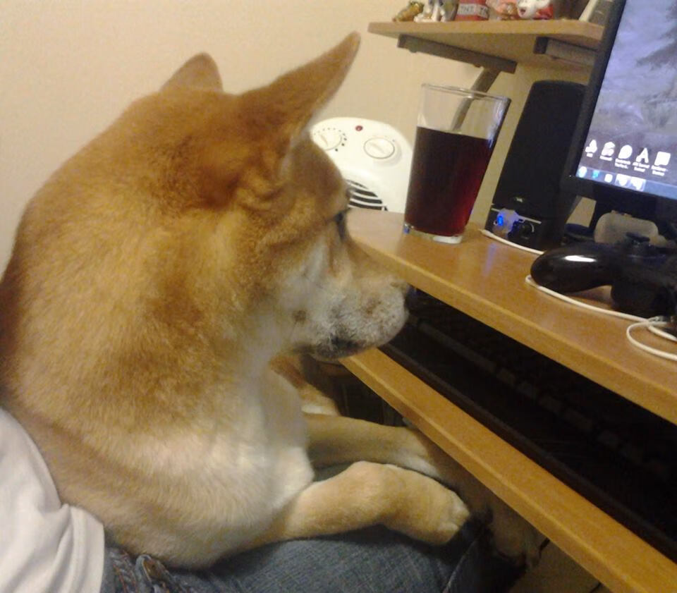 后卫线调整带来明显变化近期失球数大幅减少,后卫的位置和打法