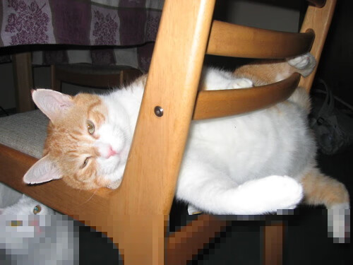 国王控卫投篮手感火热连续命中三分，国王队投手